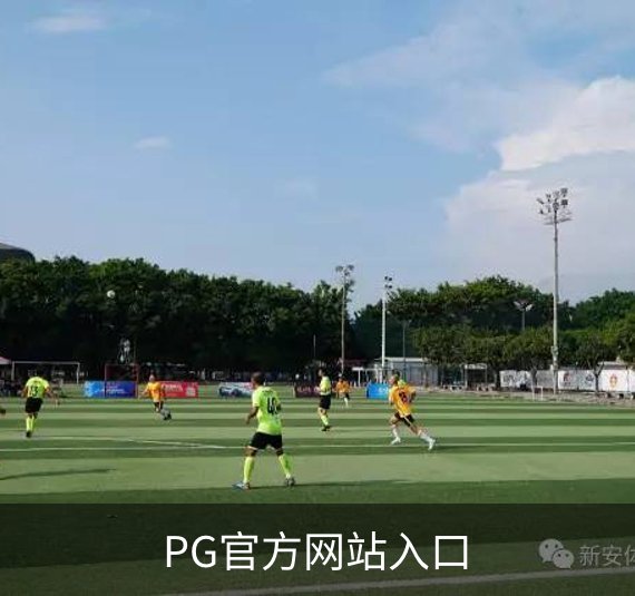 了解PG官方网站入口